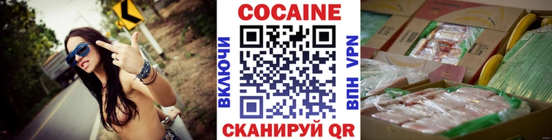 Купить закладки  Ленск  Cocaine Эквадор 