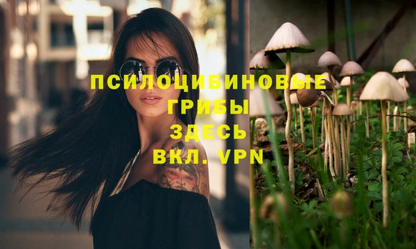 бошки Иннополис