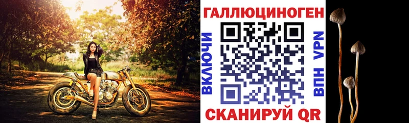 Купить закладки  Ленск  Галлюциногенные грибы Magic Shrooms 